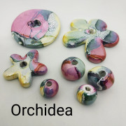 Orchidea